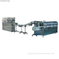 AL/PL Blister-Carton Packaging Production Line